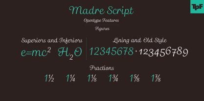 Madre Script Fuente Póster 7