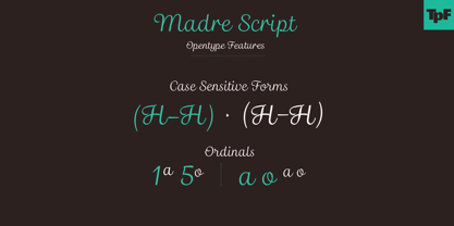 Madre Script Font Poster 8