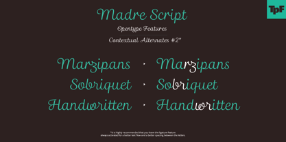 Madre Script Fuente Póster 11