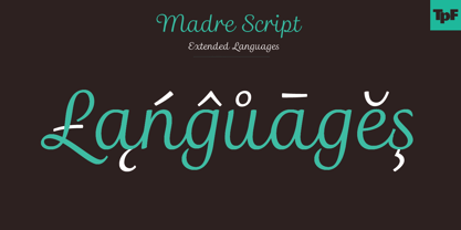 Madre Script Fuente Póster 12