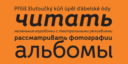 Fox Grotesque Pro Font Poster 7