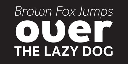 Fox Grotesque Pro Font Poster 5