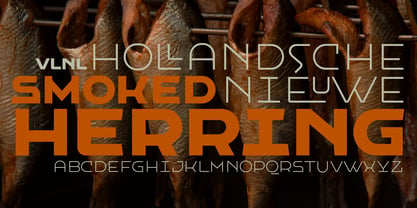VLNL Hollandsche Nieuwe Font Poster 5