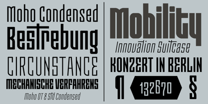 Moho Condensed Font Poster 5