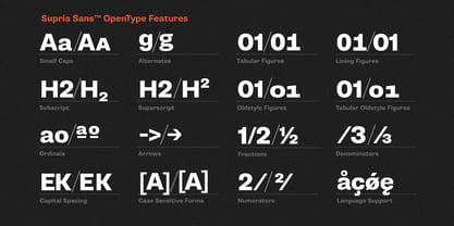 Supria Sans Font Poster 6