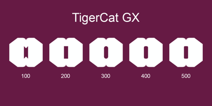 TigerCat Font Poster 23