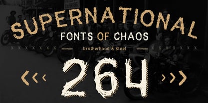 Supernational 264 Font Poster 4