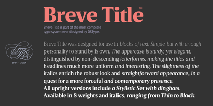 Breve Text Font Poster 4