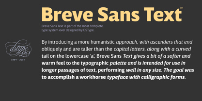 Breve Text Font Poster 6