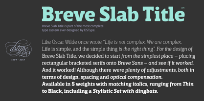 Breve Text Font Poster 7