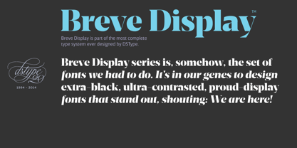 Breve Text Font Poster 10