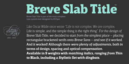 Breve Slab Text Font Poster 8