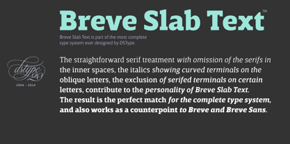 Breve Slab Text Font Poster 3