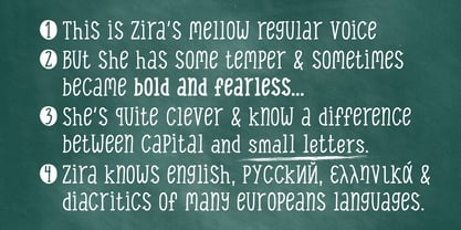 Zira Font Poster 1