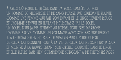 Paris Serif Font Poster 7