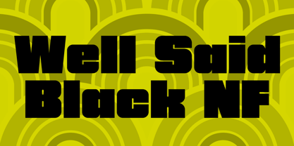 Well Said Black NF Font Poster 1