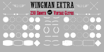 Wingman Font Poster 11