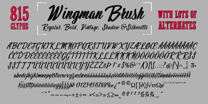Wingman Font Poster 8