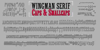 Wingman Font Poster 10