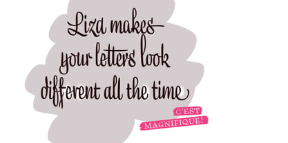 Liza Pro Font Poster 2