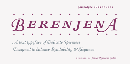 Berenjena Font Poster 1