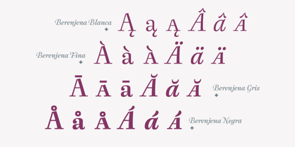 Berenjena Font Poster 2