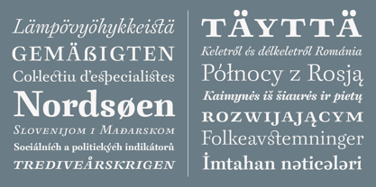 Berenjena Font Poster 8