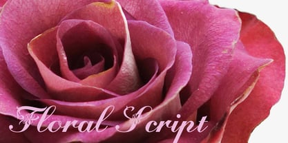 Floralscript Font Poster 1