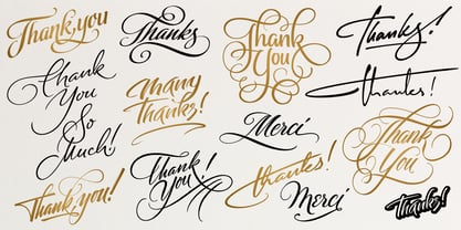 FM Thank You Font Poster 2