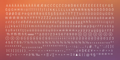 Stereotesque Font Poster 14