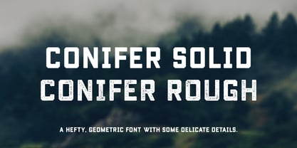 Conifer Font Poster 7