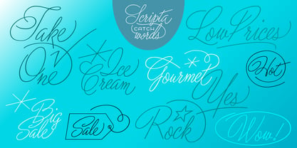 Scripta Pro Font Poster 25