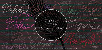 Scripta Pro Font Poster 11