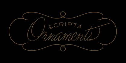 Scripta Pro Font Poster 30