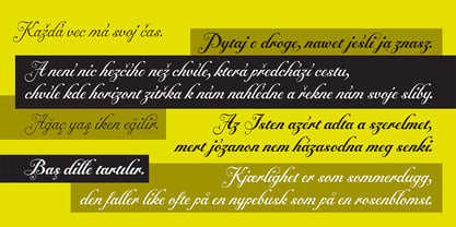 Alipe Script Font Poster 5