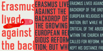 Erazm Font Poster 4