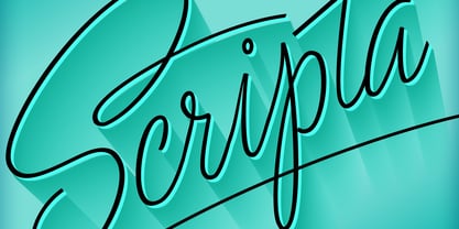 Scripta Pro Font Poster 13