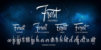 Frost Font Poster 3