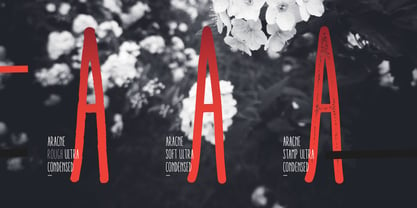 Aracne Ultra Condensed Font Poster 4