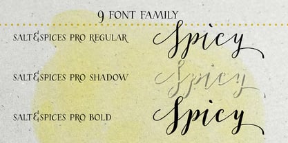 Salt & Spices Pro Font Poster 3