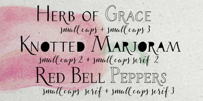 Salt & Spices Pro Font Poster 4