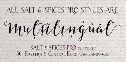 Salt & Spices Pro Fuente Póster 10