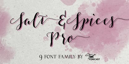 Salt & Spices Pro Font Poster 1