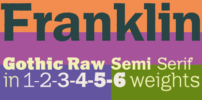 Franklin Gothic Raw Semi Serif Fuente Póster 4