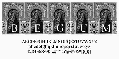 Begum Font Poster 4