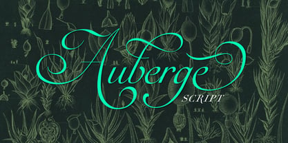 Auberge Script Font Poster 22