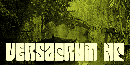 Versacrum NF Fuente Póster 1