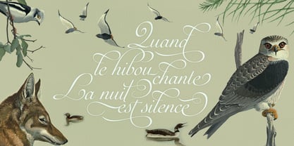 Auberge Script Font Poster 6