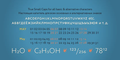 Circe Rounded Font Poster 3