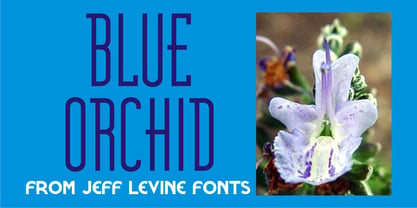 Blue Orchid JNL Font Poster 1